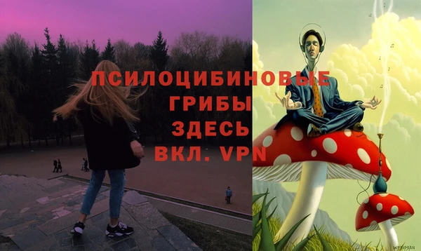 ешки Алзамай