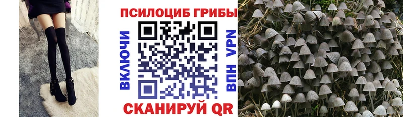 Псилоцибиновые грибы прущие грибы Алупка